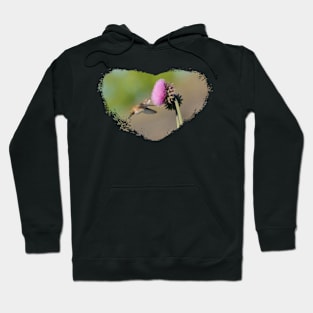 The Hummingbird and the Thistle Hoodie